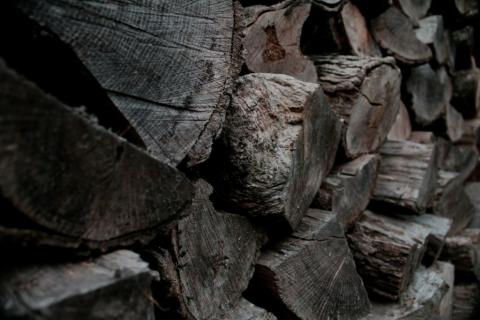 Brennholz selbst machen – So klappt‘s | Klimaworld 