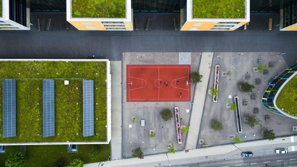 Was ist ein Solargründach?  | Klimaworld