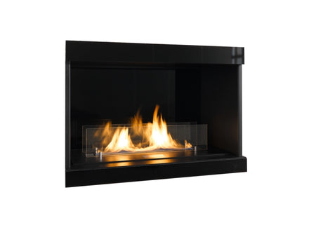 ebios-fire Einbaukamin 1V