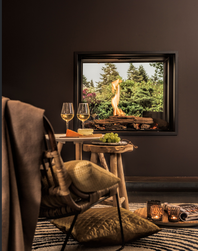 Wanders Gaskamin | DOUGLAS Tunnelkamin G31 | Propan | 10 kW