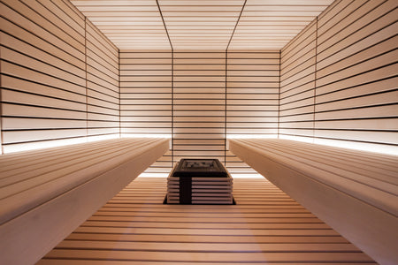 Sentiotec Saunaofen Concept R Combi Ambiente | klimaworld.com