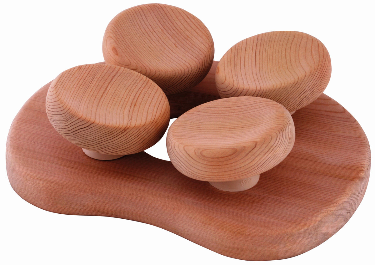 Sentiotec ergonomische Kopfstütze | klimaworld.com