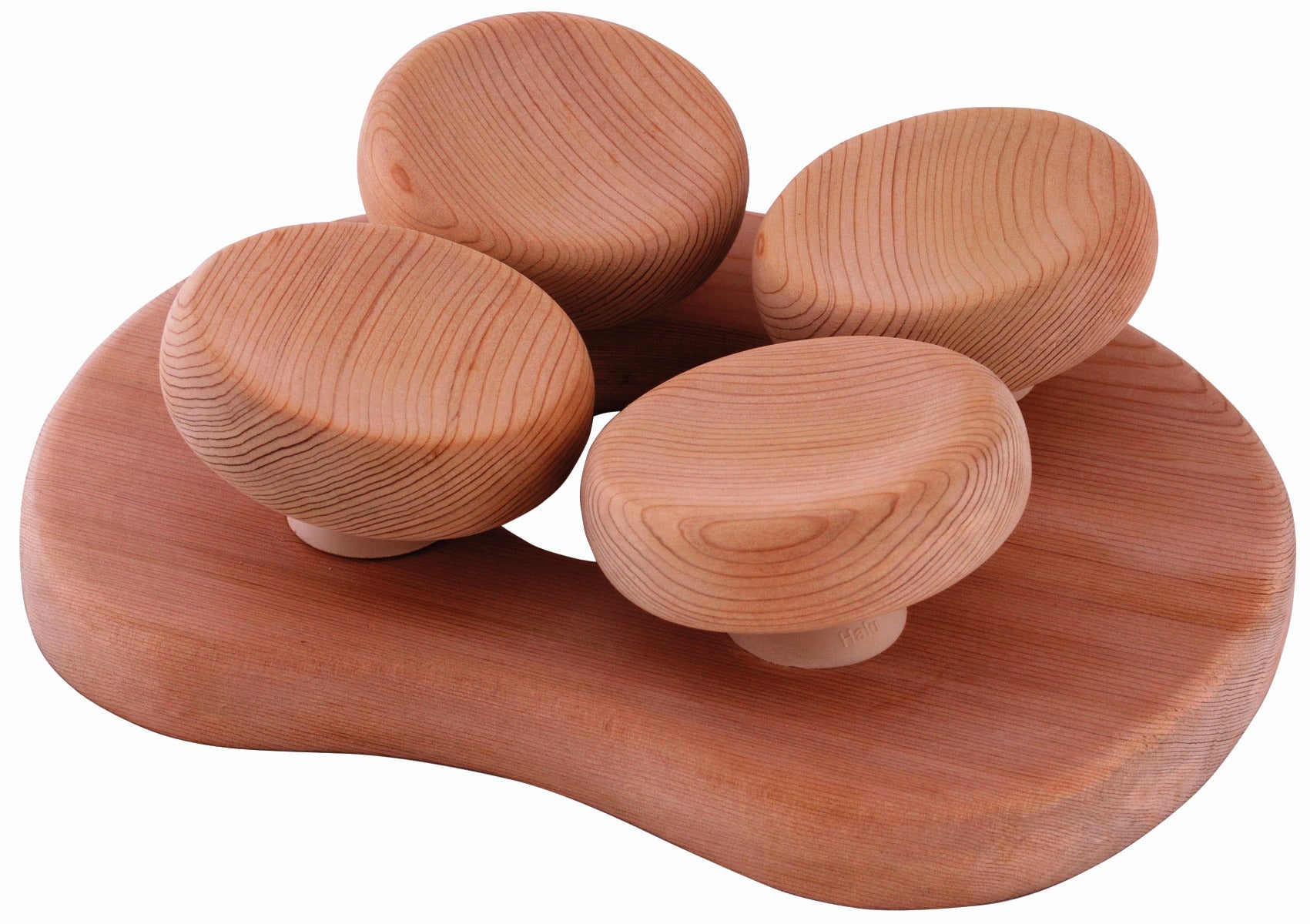 Sentiotec ergonomische Kopfstütze | klimaworld.com