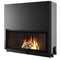 Edilkamin Kamineinsatz Windo 120 | Feuerraum schwarz | 19,2 kW